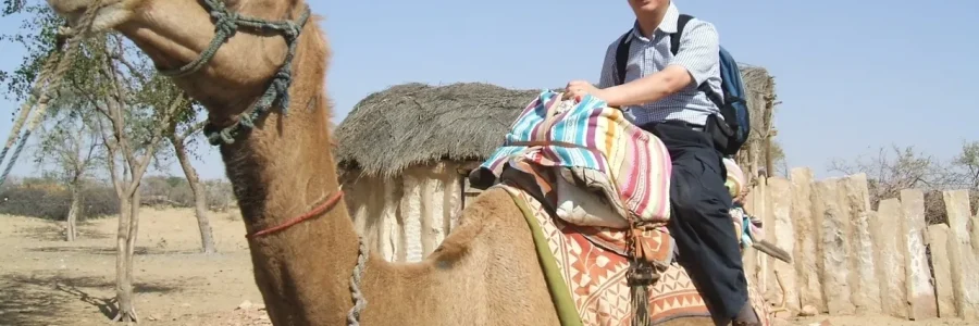 Beyond the Camel Ride: Cultivating an Open Mind for Cultural Dive